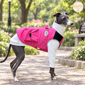 Könnte beinhalten: Ein grauer Hund trägt ein weißes Langarmshirt unter einer leuchtend pinken Weste. Die Weste hat eine kleine schwarze Tasche, einen silbernen D-Ring aus Metall und einen weißen ovalen Aufnäher mit dem Text KKP15. Der Hund steht im Profil und zeigt das Kleidungsstück.