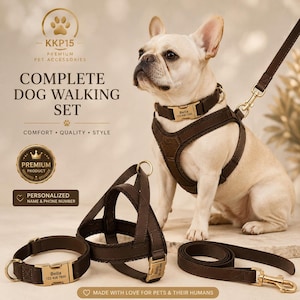 Könnte beinhalten: Ein komplettes Hunde-Gassigeh-Set bestehend aus einem dunkelbraunen Geschirr, Halsband und Leine mit goldfarbenen Metallbeschlägen. Halsband und Geschirr haben personalisierte Namensschilder mit dem Text Bella 123 456 7890. Eine Französische Bulldogge trägt das Set.