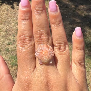 May include: A ring featuring a natural, fan-shaped scallop shell as the centerpiece. The shell displays a gradient of soft orange, peach, and cream tones with distinct vertical ridges radiating from the base to the scalloped edge of the shell.