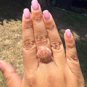 May include: A ring featuring a small, fan-shaped seashell with delicate ridges and a gradient of soft pink and white tones. The shell is centered on a thin, metallic band that rests securely on the finger, showcasing natural textures and colors.
