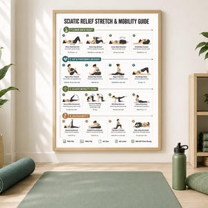 Sciatica Pain Relief Exercises, Lower Back Stretch Routine, Sciatic Nerve Glide Mobility Chart, Physical Therapy, Hip & Piriformis Stretches