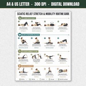 Sciatica Pain Relief Exercises, Lower Back Stretch Routine, Sciatic Nerve Glide Mobility Chart, Physical Therapy, Hip & Piriformis Stretches