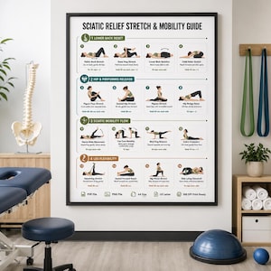 Sciatica Pain Relief Exercises, Lower Back Stretch Routine, Sciatic Nerve Glide Mobility Chart, Physical Therapy, Hip & Piriformis Stretches