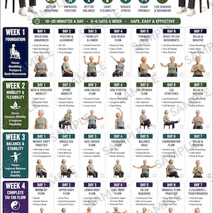 Könnte beinhalten: Ein 4-wöchiger Stuhl-Tai-Chi-Programmplan mit täglichen Übungsroutinen, illustrierten Anleitungen für Bewegungen im Sitzen, einem wöchentlichen Fortschrittstracker und einer Checkliste zur Verbesserung von Balance und Beweglichkeit.