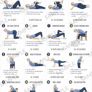 May include: An instructional poster titled Lower Back Exercises for Seniors featuring 16 numbered illustrations of a person in blue clothing performing various stretches and movements, with text instructions and repetition counts for each exercise.