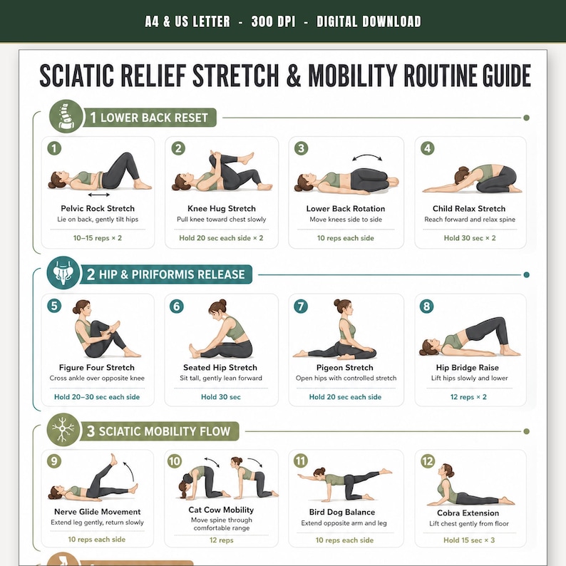 Sciatica Pain Relief Exercises, Lower Back Stretch Routine, Sciatic Nerve Glide Mobility Chart, Physical Therapy, Hip & Piriformis Stretches