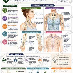 May include: An educational poster titled Upper Body Lymph Flow & Node Guide. It features anatomical diagrams of the neck, chest, and arms with green lines representing lymph pathways, plus text explaining lymph nodes, movement, and self-care tips.