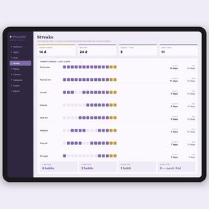 Habit Tracker Tabelle | tägliche Gewohnheit und Ziel-Tracker | Streifen-, Routine- und Tor-Planer | Excel & Google Sheets Bild 4