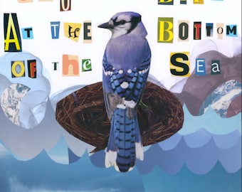 The Bird at the Bottom of the Sea