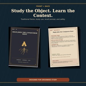 Op de afbeelding: Twee rechthoekige studiekaarten getiteld High John the Conqueror Root. De linkerkaart is donkerblauw met een gouden wortelillustratie en de tekst Strength, Command, Luck. De rechterkaart is cr&egrave;mekleurig met zwarte tekst over veiligheid en gebruik.