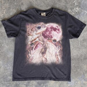 May include: A charcoal gray short-sleeve t-shirt featuring a graphic print of three textured brown toads positioned beneath a large, circular, reddish-pink moon. The shirt has a crew neckline and a standard fit, showcasing a detailed wildlife illustration.