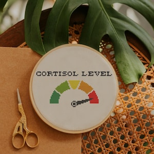 May include: A circular wooden embroidery hoop containing white fabric with a cross-stitched design. The text CORTISOL LEVEL is stitched in black above a gauge graphic featuring green, yellow, orange, and red segments with a black needle pointing right.