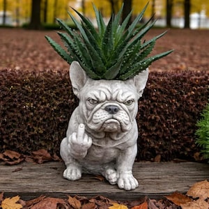 May include: A gray stone-colored planter shaped like a French bulldog sitting in a forward-facing position. The dog figure has a wrinkled face and is holding up its right paw with the middle finger extended. A green succulent plant sits inside.