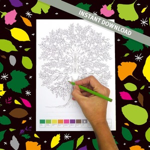 Pode incluir: Uma página para colorir imprimível que apresenta uma grande árvore com galhos e folhas. A árvore é dividida em seções com etiquetas para cada mês do ano. A página inclui uma paleta de cores com 12 cores diferentes.