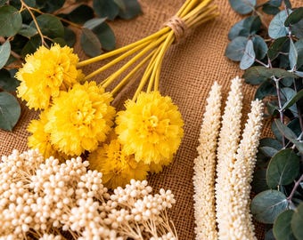 DIY-pakket voor een krans van gedroogde bloemen – basis van wijnranken, geconserveerde bloemen, eucalyptus (knutselbenodigdheden)