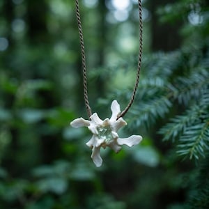 May include: A necklace featuring a white, irregularly shaped bone vertebra pendant suspended from a thin, brown braided cord. A small, translucent, pale green crystal is embedded within the center of the bone structure, creating a contrast.