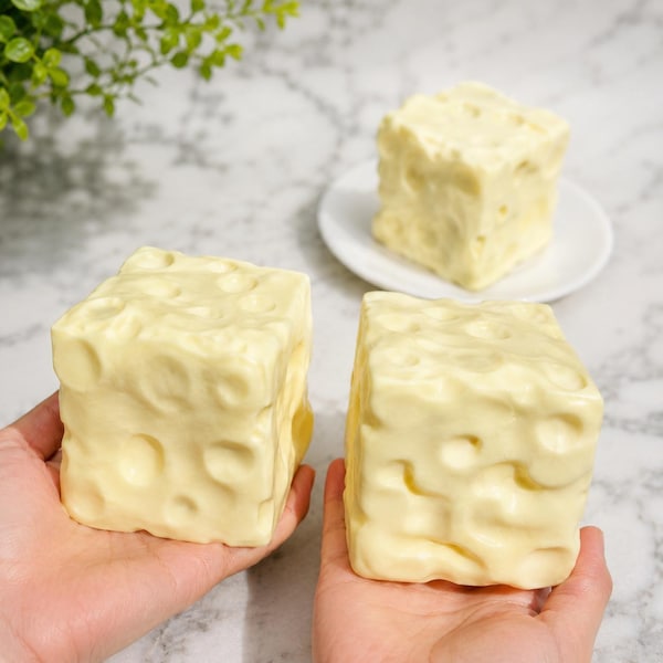 Dumpling Cube Real Squishy Dumplings - Etsy