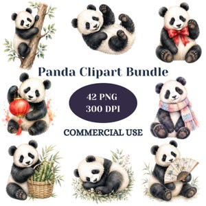 May include: A digital collection of panda illustrations titled Panda Clipart Bundle, featuring 42 PNG files at 300 DPI for commercial use. The images show pandas climbing a tree, wearing a red bow, holding a lantern, wearing a scarf, and holding a fan.