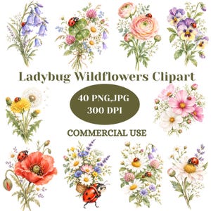 Könnte beinhalten: Eine digitale Sammlung von Aquarell-Wildblumensträußen mit Marienkäfern, darunter Glockenblumen, Mohnblumen, Gänseblümchen und Kosmeen. Der Text lautet Ladybug Wildflowers Clipart, 40 PNG,JPG, 300 DPI und COMMERCIAL USE. Die Blumen sind in verschiedenen Gruppen angeordnet.