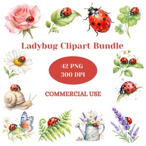 Puede incluir: Una colección digital de ilustraciones en acuarela con mariquitas sobre varios elementos, incluyendo una rosa, hojas verdes, una margarita, un caracol, una mariposa, un helecho, una regadera con flores y lavanda. Texto Ladybug Clipart Bundle 42 PNG 300 DPI COMMERCIAL USE.