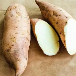Könnte beinhalten: Zwei ganze Süßkartoffeln mit hellbrauner, strukturierter Schale und eine halbierte Süßkartoffel, die ein blass cremefarbenes Inneres zeigt. Die Gemüsesorten haben eine längliche, spitz zulaufende Form mit sichtbaren kleinen dunklen Flecken.
