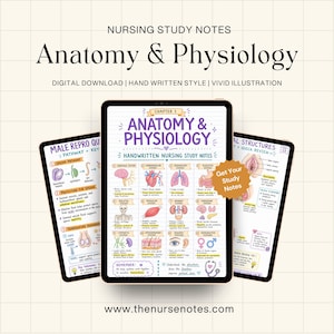 Könnte beinhalten: Drei digitale Tablets zeigen Pflege-Lernnotizen zu Anatomie und Physiologie. Die Bildschirme enthalten farbigen, handschriftlichen Text und lebendige Illustrationen menschlicher Körpersysteme, einschließlich des Nerven-, Herz-Kreislauf- und Fortpflanzungssystems.