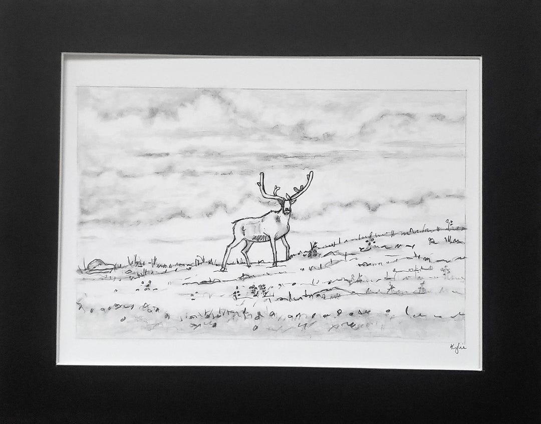 The Lone Ranger Buck Pencil Drawing. One of a Kind, Black 8x10 Inch Mat ...