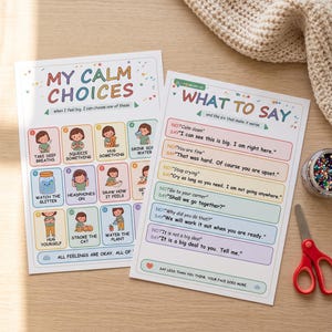 Op de afbeelding: Twee educatieve posters getiteld My Calm Choices en What To Say. De eerste poster bevat twaalf genummerde copingstrategieën met illustraties. De tweede poster geeft zinnen weer die je kunt zeggen of beter kunt vermijden bij emoties.