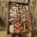 Vintage Mushroom Wooden Wall Art, Retro Boho Fungi Decor, Botanical Nature Cottagecore Wall Hanging, Forest Home Accent product logo
