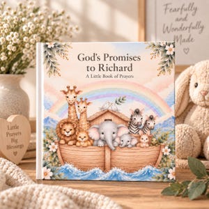 Op de afbeelding: Een vierkant hardcover boek getiteld God's Promises to Richard: A Little Book of Prayers. De kaft bevat een aquarelillustratie van een houten ark gevuld met een giraf, leeuw, olifant, zebra en konijn onder een pastelkleurige regenboog.