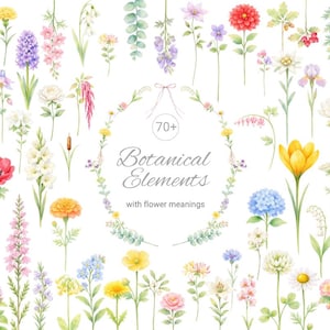 Puede incluir: Una colección de ilustraciones en acuarela que presenta más de 70 elementos botánicos, incluyendo varias flores coloridas, hojas y tallos. Una corona floral circular central enmarca el texto 70+ Botanical Elements with flower meanings.