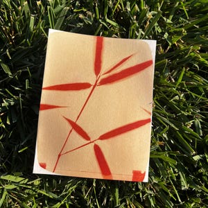 Handprinted Anthotype Blank Cards 5pk,  Eco Friendly Sun Print MULTI PACK