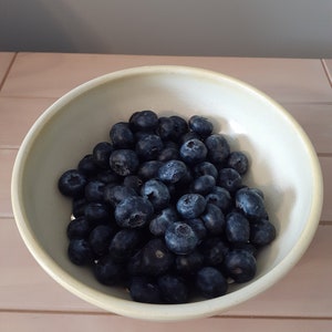 Ceramic Berry Bowl/Colander/Strainer