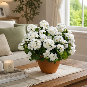 May include: A potted artificial geranium plant featuring clusters of white flowers with yellow centers and green leaves, housed in a simple terracotta-colored pot. The plant displays a dense, rounded arrangement of blooms and foliage.