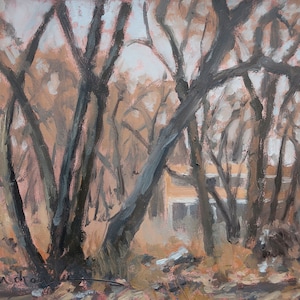 Winter Morning Among the Cottonwoods - Los Luceros  (plein air painting, New Mexico landscape, small works, oil painting)