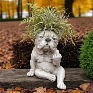 May include: A grey, stone-like French bulldog figurine with a textured finish, sitting upright and extending its middle finger. The dog has a plant growing from its head, featuring long, spiky green air plant leaves and delicate fern fronds.