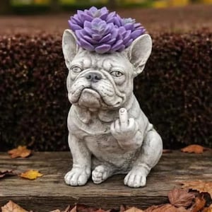 May include: A gray stone-colored French bulldog figurine with a textured finish, featuring a purple succulent plant resting on its head. The dog is depicted in a seated position with one front paw raised, displaying a middle finger gesture.