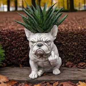 Op de afbeelding: Een grijze, steenachtige bloempot in de vorm van een Franse bulldog met een gedetailleerde, norse gezichtsuitdrukking en rimpelige huid. De hond zit en steekt met één poot een middelvinger op. In de pot staat een groene aloëplant.