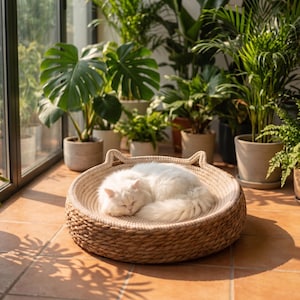 Pode incluir: Uma cama redonda para gatos, tecida com fibras naturais em tom bege, com dois pequenos detalhes em forma de orelhas na borda. Um gato branco de pelo longo e felpudo dorme encolhido no centro da cama, que possui uma base clara e texturizada.