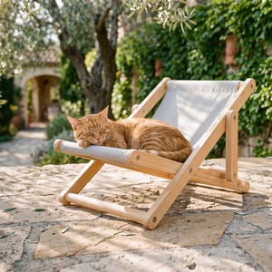 Puede incluir: Una pequeña silla de descanso de madera clara con un asiento de tela gris claro. Un gato atigrado naranja está acurrucado y durmiendo en la silla. La silla presenta un diseño de marco plegable simple con herrajes metálicos visibles.