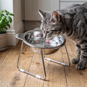 Puede incluir: Un cuenco para mascotas de acero inoxidable plateado con diseño elevado, apoyado sobre un soporte de alambre metálico con patas de silicona blanca. El cuenco está lleno de agua clara y un gato atigrado gris bebe, creando ondas en el líquido.
