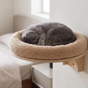 Cama para gatos de pared con cojín de felpa y percha flotante de madera.