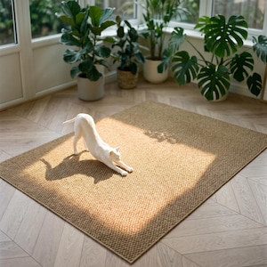 Klösmatta för katt i sisal, halkfri klösmatta