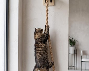 Cat Wall Climbing Rope Shelf Wooden Perch Furniture