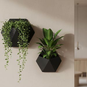 May include: Two matte black geometric wall planters with a hexagonal shape. The left planter holds a trailing green plant with small leaves, while the right planter contains an upright green plant with broad, pointed leaves, both mounted on a wall.
