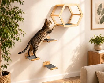 Casetta per gatti galleggiante personalizzata, scalini a parete con finiture morbide, mobile in legno per arrampicarsi, parco giochi moderno per animali domestici, regalo per la nuova casa per il tuo gatto