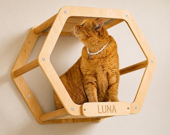 Hexagon Floating Wooden Cat House with Soft Carpet, Eco Engraved Wood Cats Playground, Wall Mounted Pet Covered Bed with Opened Design