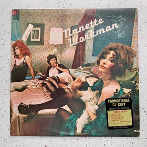 Nanette Workman Self Titled Nanette Workman, OG 1976 PROMO Big Tree Records BT 89514 Vintage Vinyl Records Disco, Soul records