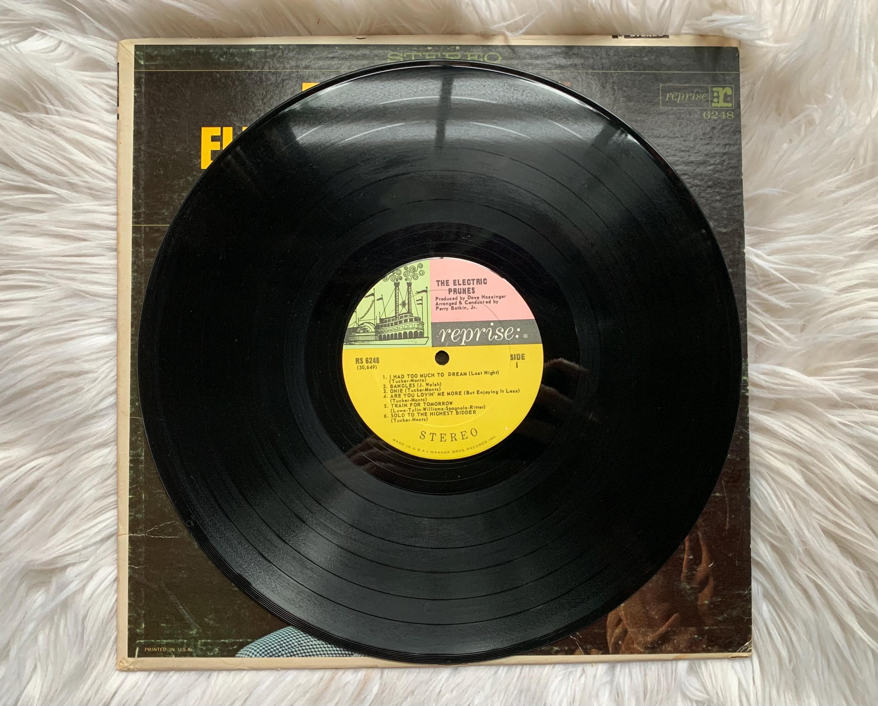 The Electric Prunes the Electric Prunes Self Titled Record, 1967