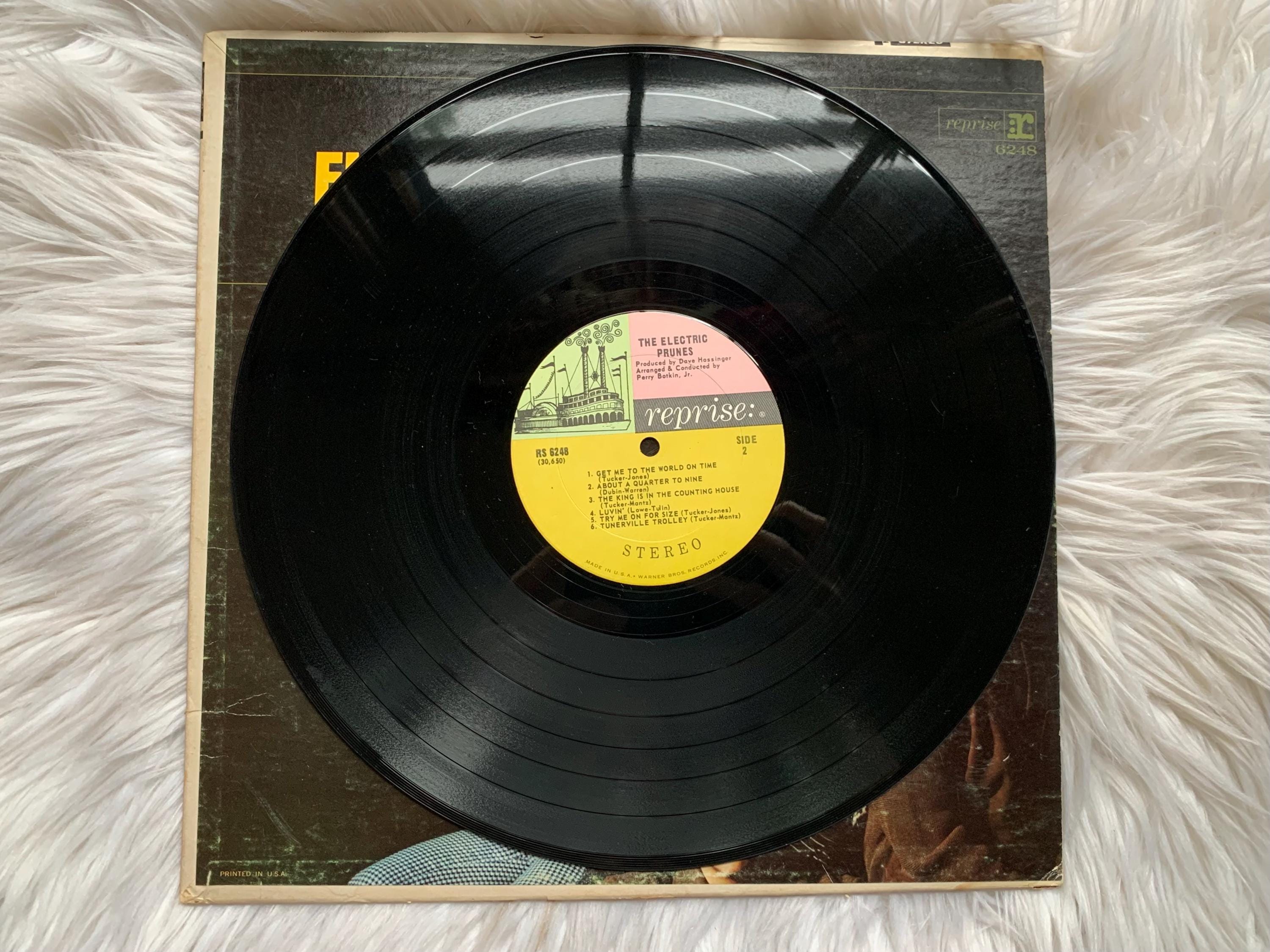 The Electric Prunes the Electric Prunes Self Titled Record, 1967
